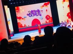 -泰安刘老根大舞台