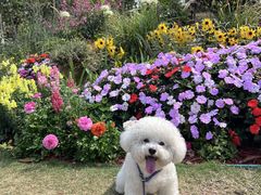 -东莞植物园