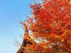 -重元寺
