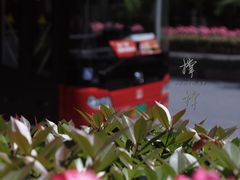 -杭州平安悦坊 PAFC LIVING