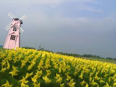 -洪湖湿地生态园