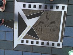 -星光大道