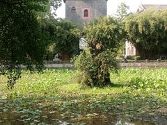 -四川大学(华西校区)