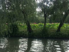 -扬州瘦西湖船宴