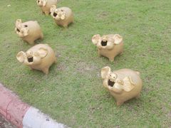 -清迈夜间动物园