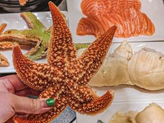 -乔哥铭洋海鲜自助(皇城恒隆广场店)