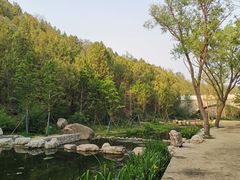-白水寺森林公园