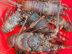 -毛里求斯小四川餐厅总店