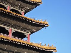 -北陵公园