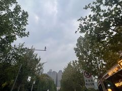 -大象厨房(重庆道店)