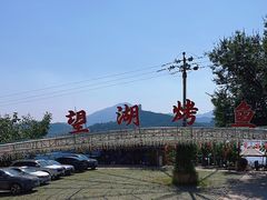 -望湖烤鱼