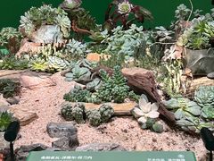 -德基艺术博物馆