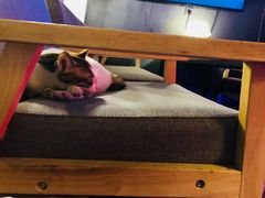 -蜉蝣酒吧(仓山万达店)