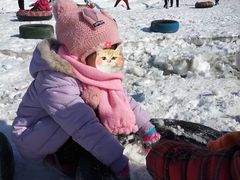 -蓟县盘山滑雪场