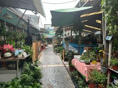 -曲阳花鸟市场(曲阳路店)