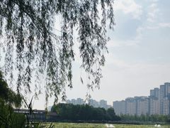 -洋湖国家湿地公园