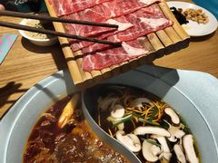 -青瓷火锅料理(西单大悦城店)
