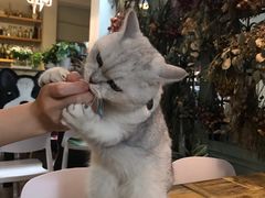 -小时光咖啡馆(北锣鼓巷店)