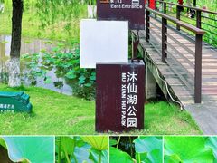 -沐仙湖湿地公园