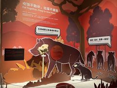 -厦门诚毅自然探索馆