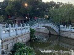 -荔湾湖公园