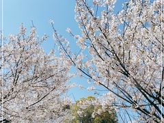 -苏州河梦清园环保主题公园