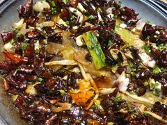 黑鱼花-三猫黑鱼花(南大店)