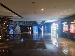 -武商摩尔影城(国广IMAX激光店)