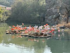 -宁波野生动物园