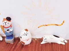 -有猫主题·治愈系猫咖(曾厝垵店)