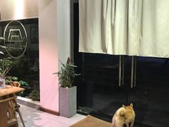 -柴务处·柴犬主题狗咖