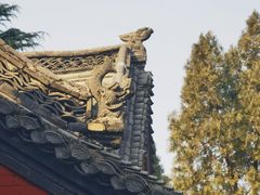 -洛阳白马寺