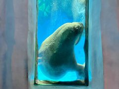 -香港海洋公园
