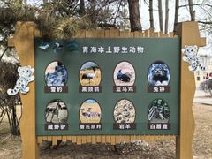 -青藏高原野生动物园