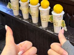 -猫的魔法密林(衣裳街店)