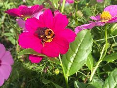 -文雅轩茶叶(锦和越界田林坊店)