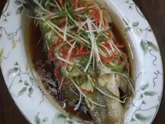 -天鹅到家·保姆月嫂育儿嫂(总店)