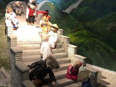 -成都泰迪熊博物馆