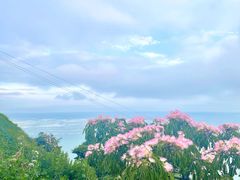 -枸杞岛