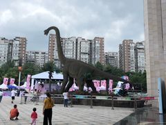 -成都浩海立方海洋公园