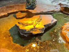-泉城欧乐堡海洋极地世界