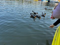 -昆山城市生态森林公园