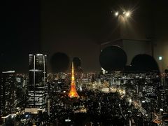 -六本木新城展望台(东京城市景观)
