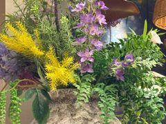 -云海肴·汽锅鸡·云南菜(领展购物广场·中关村店)