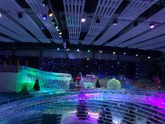 -宁波冰雪大世界(北仑区)