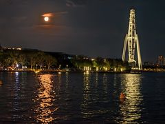 -金鸡湖景区