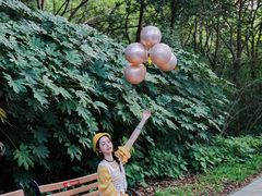 -昆山城市生态森林公园