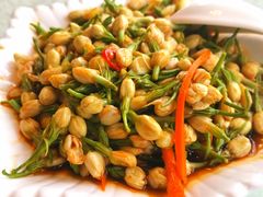 横县茉莉花-壮乡楼民俗文化苑(李宁体育园店)