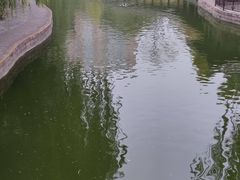 -团结湖公园