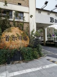 -上海首尔丽格医疗美容医院